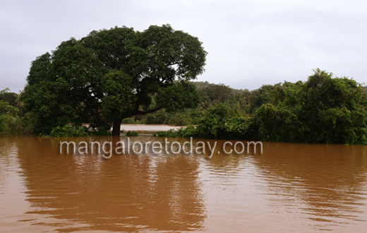 Moodushedde floods